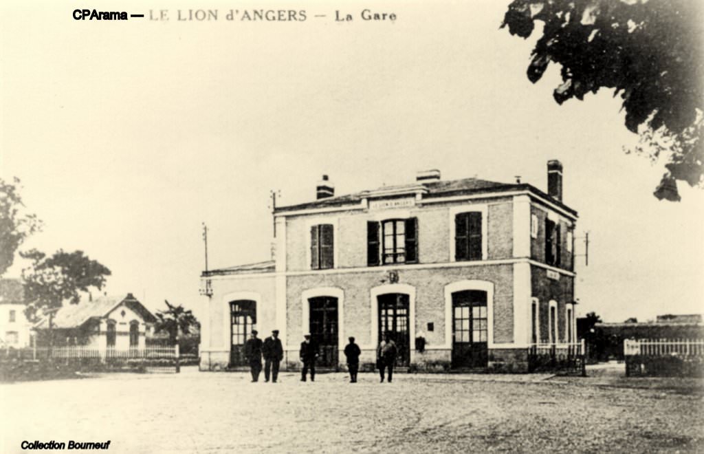 Lion_angers_4.jpg